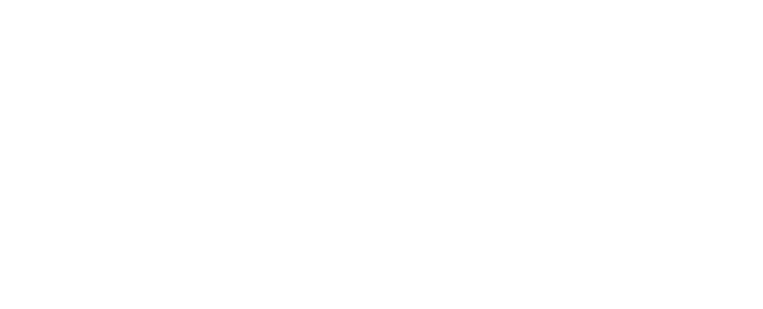 Reifen Tritsch